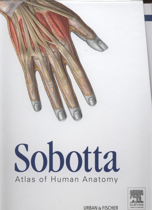 Анатомия на английском языке. Sobotta Atlas. Собота атлас анатомии человека. Sobotta Atlas of Anatomy. Sobotta Neuroanatomy pdf.