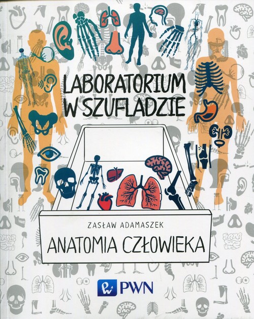 Laboratorium w szufladzie Anatomia człowieka, zdjęcie produktu, kategoria Pozostałe