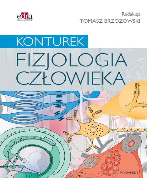 Fizjologia człowieka. Konturek, zdjęcie produktu, kategoria Pozostałe