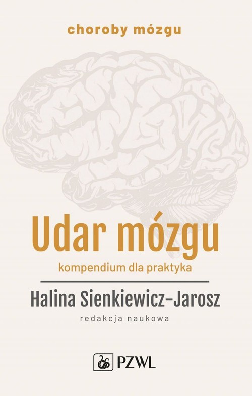 Udar mózgu Kompendium dla praktyka, zdjęcie produktu, kategoria Choroby układu nerwowego