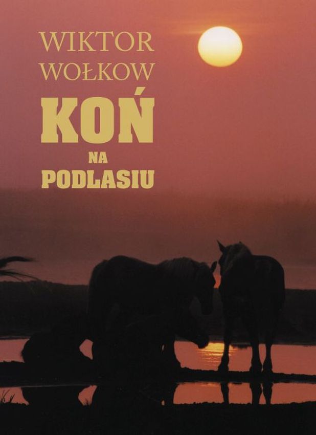 Koń na Podlasiu, zdjęcie produktu, kategoria Jazda konna