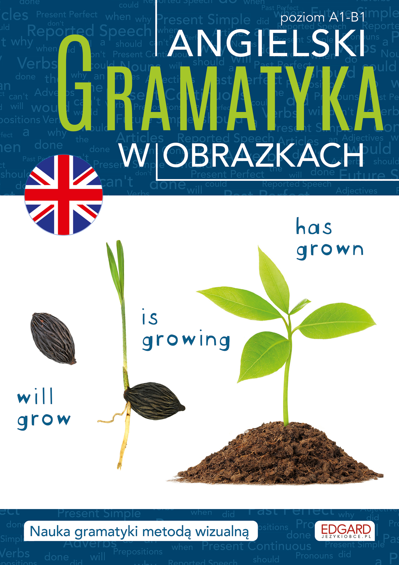 Angielski. Gramatyka w obrazkach, zdjęcie produktu, kategoria Podręczniki
