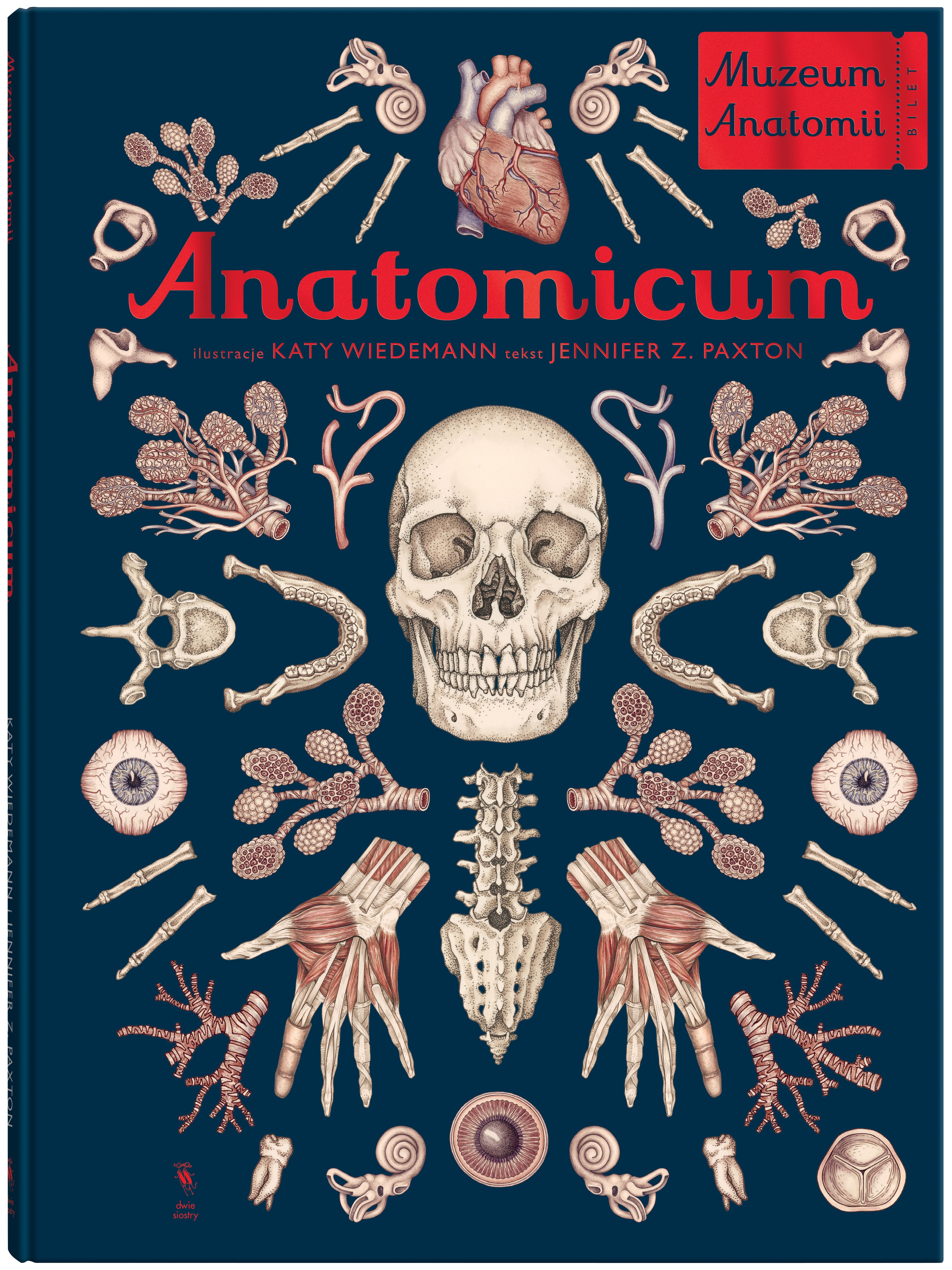 Anatomicum, zdjęcie produktu, kategoria Pozostałe