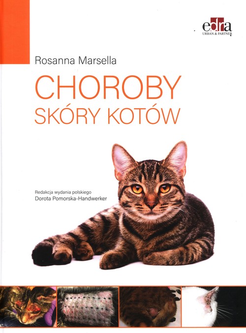 Choroby skóry kotów, zdjęcie produktu, kategoria Weterynaria