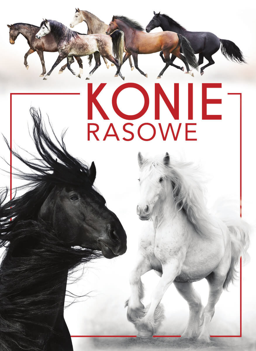 Konie rasowe, zdjęcie produktu, kategoria Jazda konna