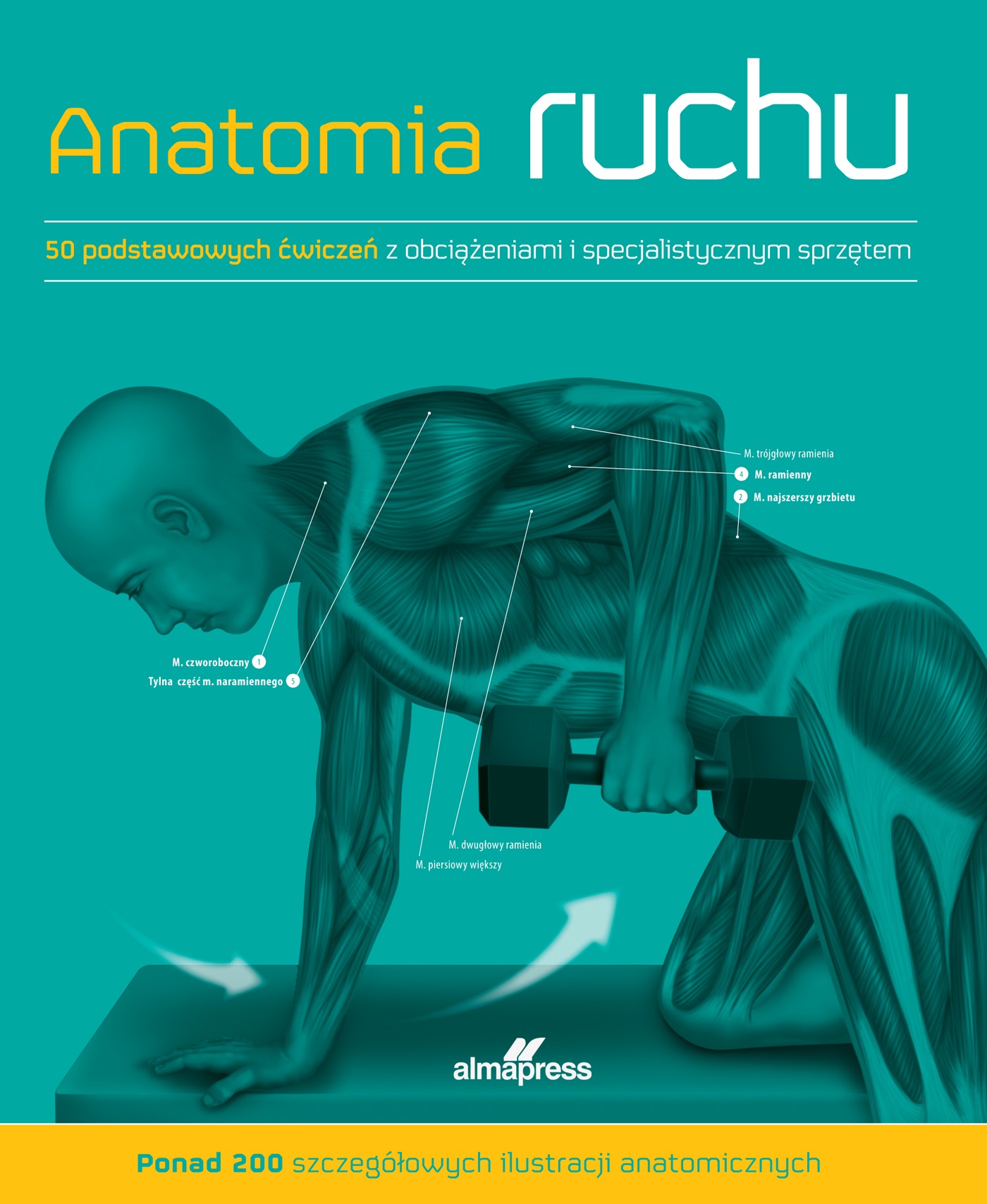 Anatomia ruchu. Podręcznik ćwiczeń, zdjęcie produktu, kategoria Choroby kręgosłupa i stawów