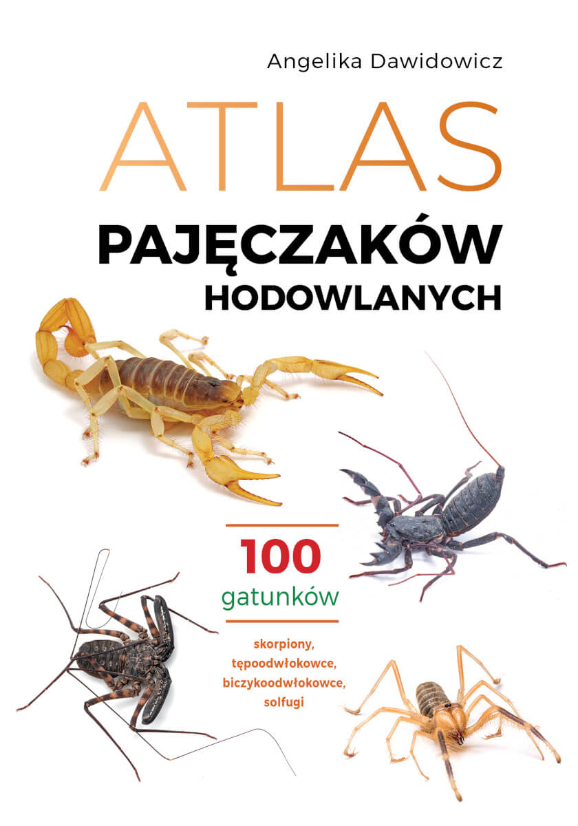 Atlas pajęczaków hodowlanych. 100 gatunków, zdjęcie produktu, kategoria Biologia i przyroda