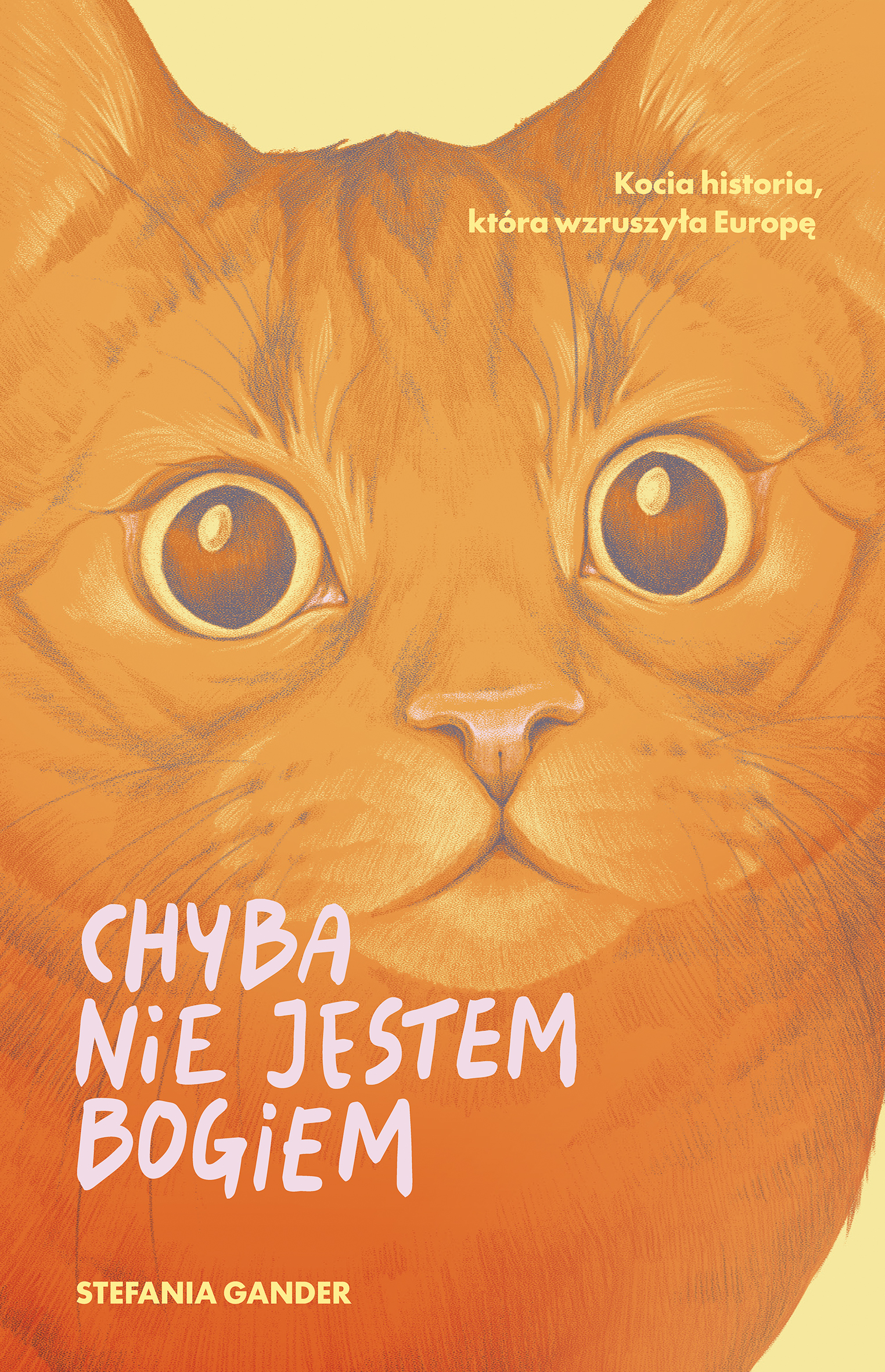 Chyba nie jestem Bogiem, zdjęcie produktu, kategoria Książki