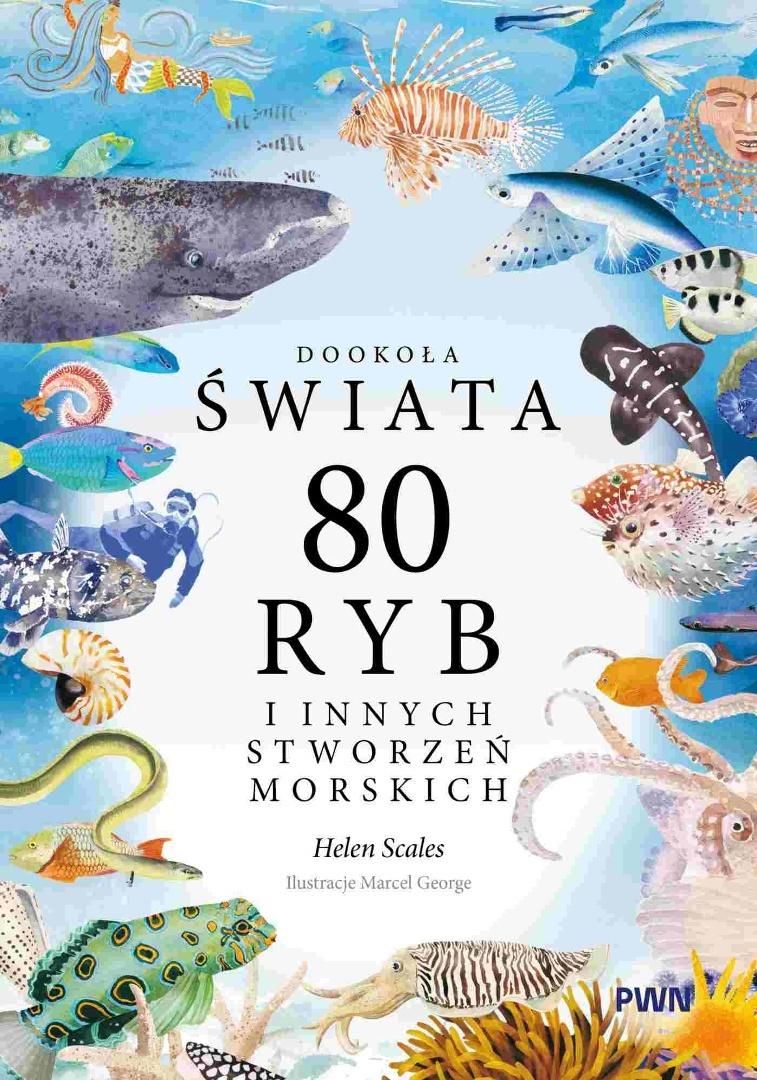 Dookoła świata. 80 ryb i innych stworzeń morskich, zdjęcie produktu, kategoria Biologia i przyroda