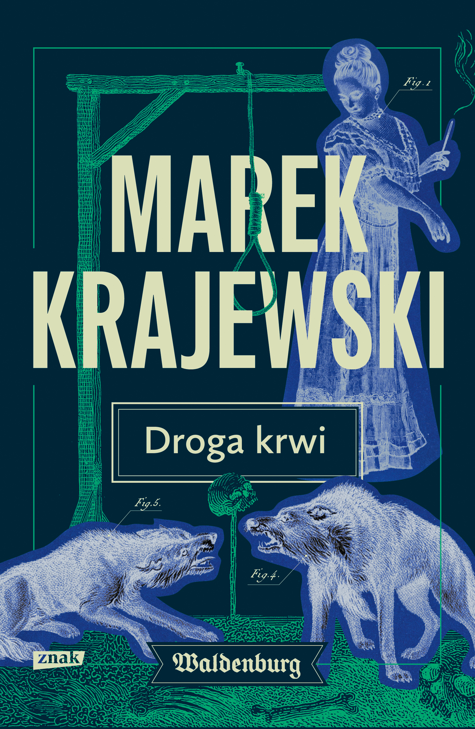 Droga krwi, zdjęcie produktu, kategoria Książki