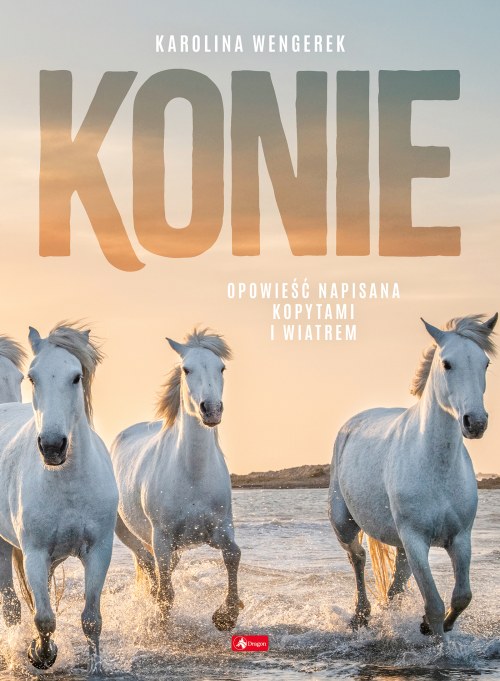 Konie, zdjęcie produktu, kategoria Jazda konna