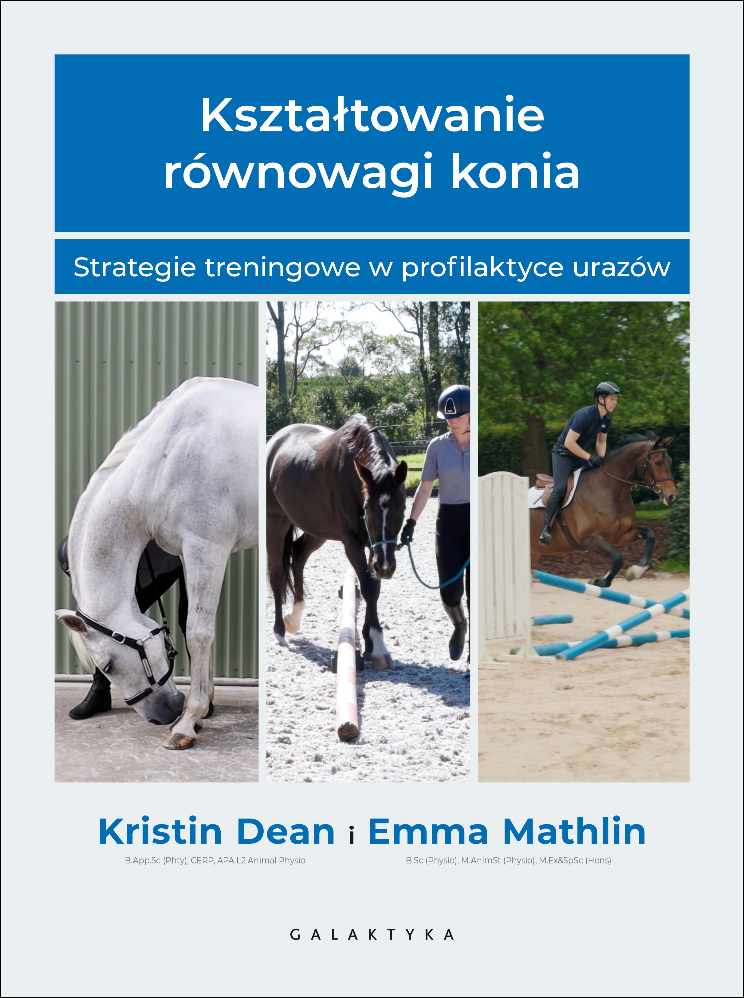 Kształtowanie równowagi konia, zdjęcie produktu, kategoria Aktywność fizyczna