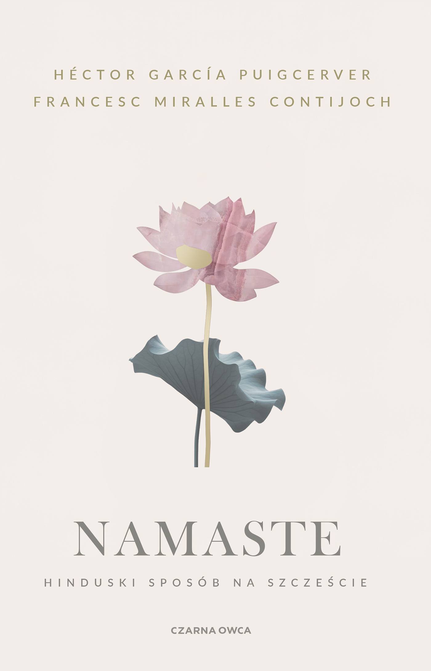 Namaste. Hinduski sposób na szczęście, zdjęcie produktu, kategoria Medytacja