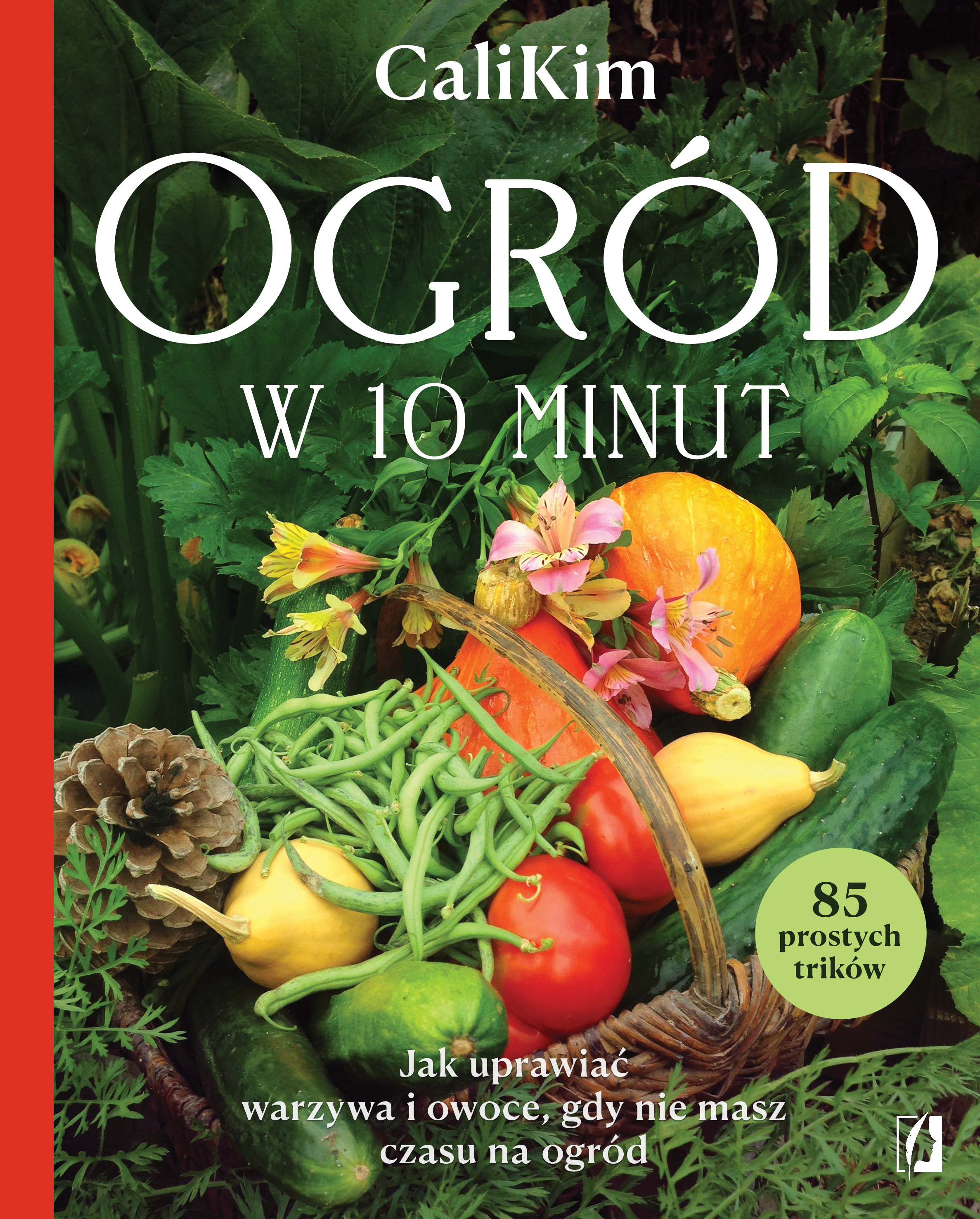 Ogród w 10 minut. Jak uprawiać warzywa i owoce, gdy nie masz czasu na ogród, zdjęcie produktu, kategoria Dom i ogród