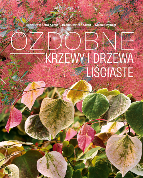 Ozdobne Krzewy i drzewa Liściaste, zdjęcie produktu, kategoria Ogród