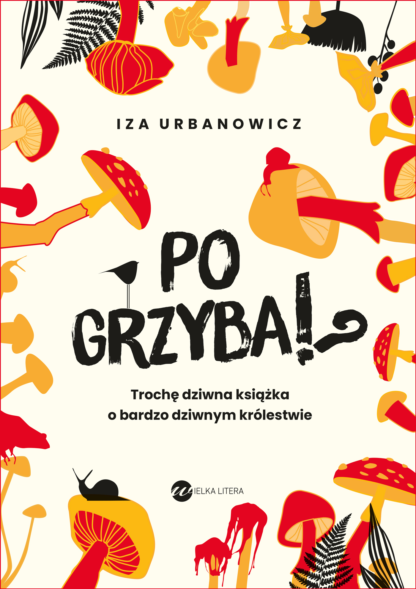 Po grzyba!? Trochę dziwna książka o bardzo..., zdjęcie produktu, kategoria Biologia i przyroda
