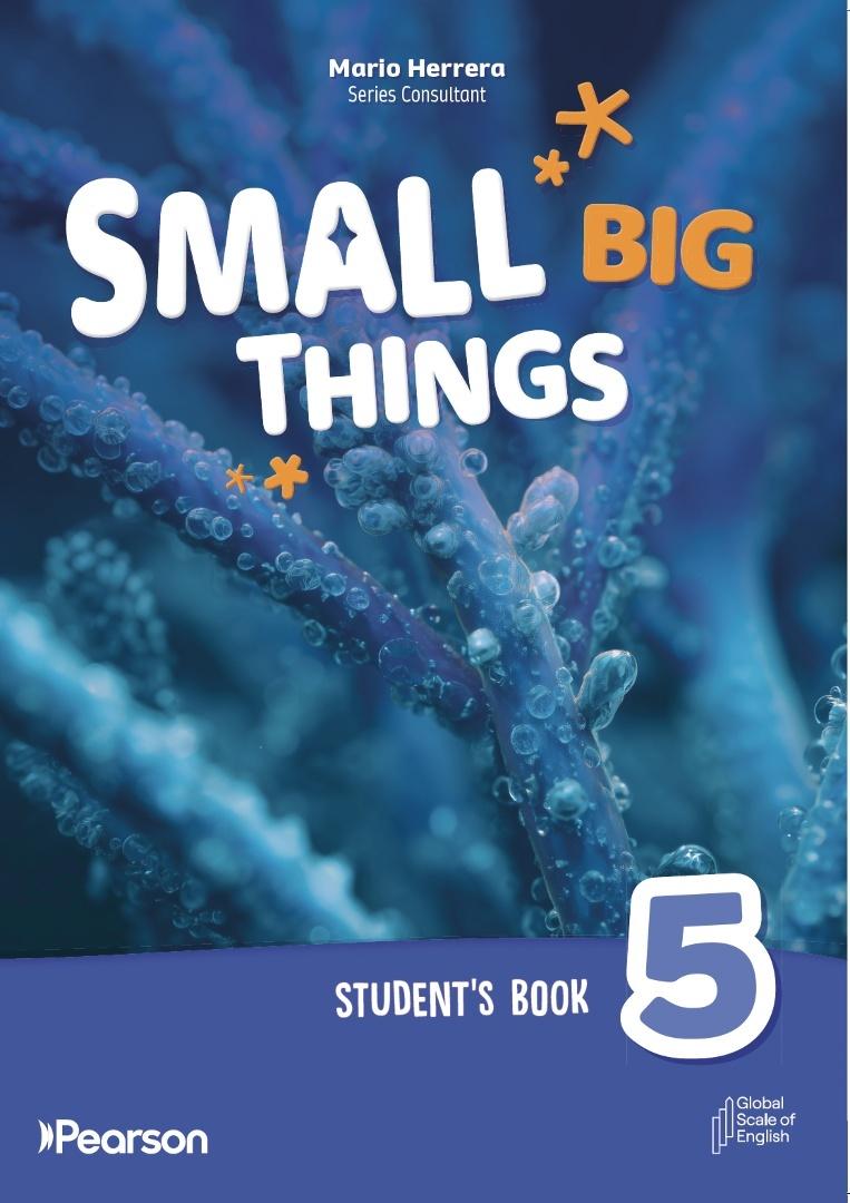 Small Big Things 5 SB, zdjęcie produktu, kategoria Podręczniki