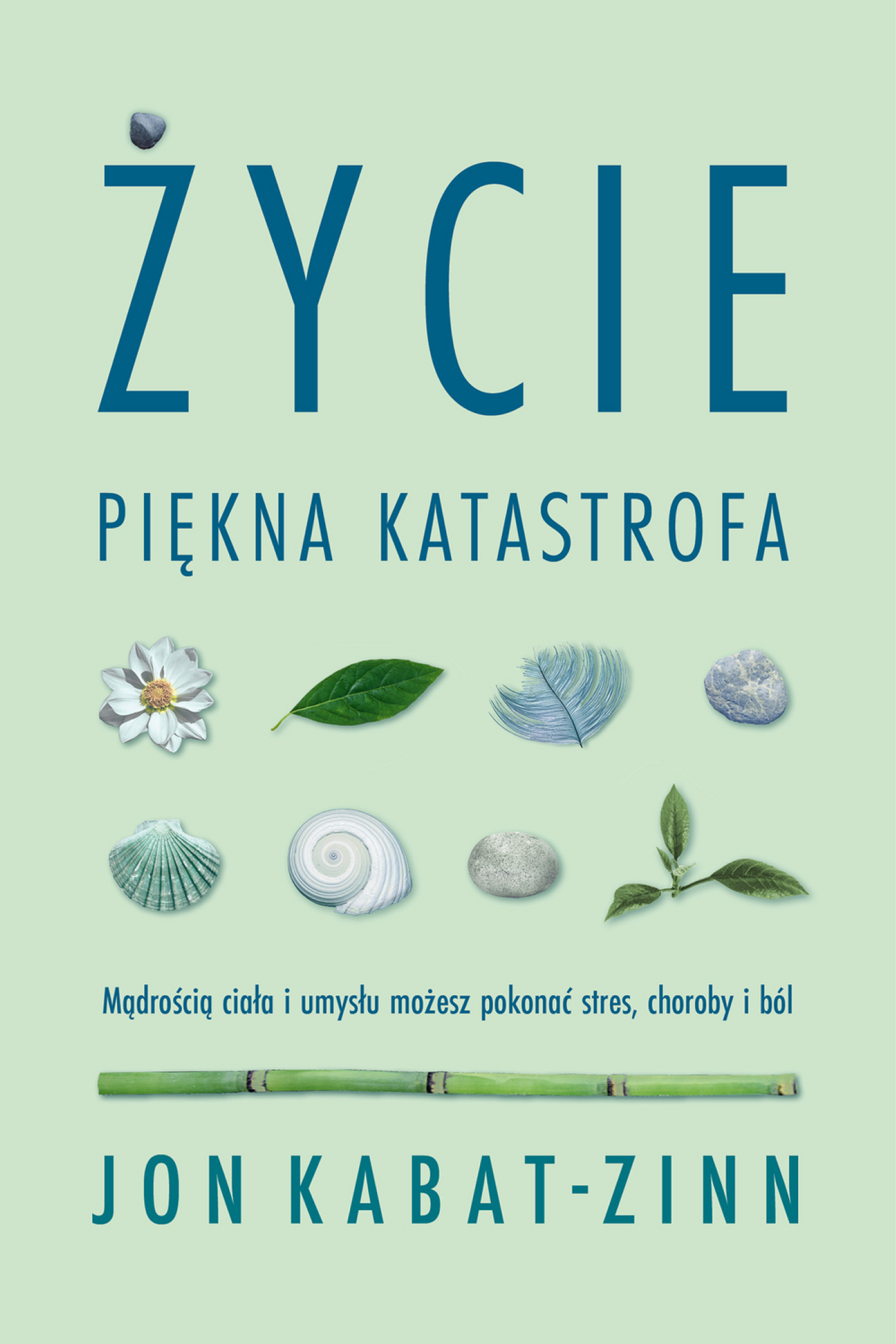 Życie, piękna katastrofa, zdjęcie produktu, kategoria Psychologia i psychoterapia