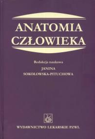 Opakowanie Anatomia człowieka