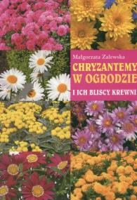 Chryzantemy w ogrodzie. Autor: Zalewska Małgorzata. ZdrowePodejscie.pl Okładka książki Chryzantemy w ogrodzie