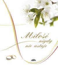 Okładka książki Miłość nigdy nie ustaje