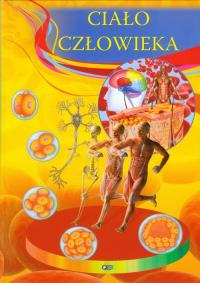 Okładka książki Ciało człowieka TW
