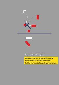 Okładka książki Młodzież szkolna wobec etyki pracy i jej kontekstu instytucjonalnego