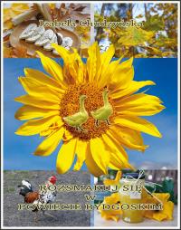 Okładka książki Rozsmakuj się w powiecie bydgoskim