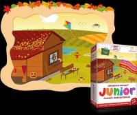 Okładka książki Akademia Umysłu JUNIOR. Jesień w.pol-ang