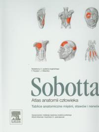 Opakowanie Atlas anatomii człowieka Sobotta