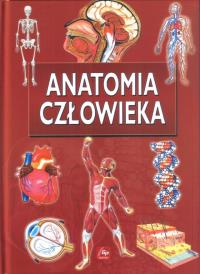 Okładka książki Ilustr. Encyklopedia dla dzieci - Anat. Człowieka