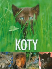 Okładka książki Koty