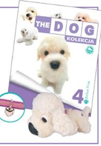 Opakowanie Bichon Frise