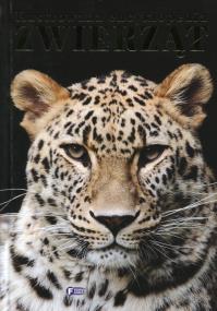 Ilustrowana Encyklopedia Zwierząt. Autor: Opracowanie zbiorowe. ZdrowePodejscie.pl Okładka książki Ilustrowana Encyklopedia Zwierząt