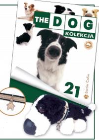 Opakowanie Border Collie
