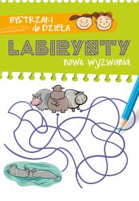 Okładka książki Bystrzaki do dzieła. Labirynty. Nowe wyzwania