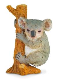 Okładka książki COLLECTA MIŚ KOALA WSPINAJACY SIE ROZMIAR M BPZ-COLLECTA