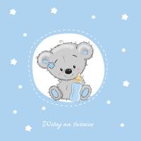 Okładka książki KSIĄŻKA UPOMINEK Witaj na świecie