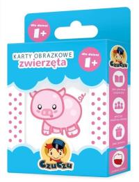 Opakowanie Karty obrazkowe. Zwierzęta