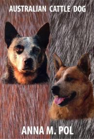 Okładka książki Australian Cattle Dog