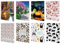 Okładka książki Miesięczny Plan Zajęć 2020 A5 AVANTI