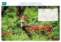 Opakowanie Planer tygodniowy Chital Deer