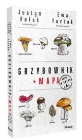 Okładka książki Grzybownik + mapa