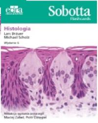 Sobotta Flashcards. Histologia. Autor: Bräuer L., M. Scholz. ZdrowePodejscie.pl Okładka książki Sobotta Flashcards. Histologia
