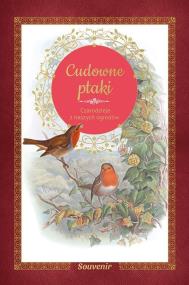 Cudowne ptaki Czarodzieje z naszych ogrodów. Autor: Lesaffre Guilhem. ZdrowePodejscie.pl Okładka książki Cudowne ptaki Czarodzieje z naszych ogrodów