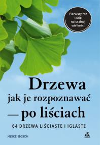 Drzewa, jak je rozpoznawać po liściach wyd. 2. Autor: Meike Bosch. ZdrowePodejscie.pl Okładka książki Drzewa, jak je rozpoznawać po liściach wyd. 2