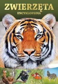 Zwierzęta. Encyklopedia. Autor: Opracowanie zbiorowe. ZdrowePodejscie.pl Okładka książki Zwierzęta. Encyklopedia