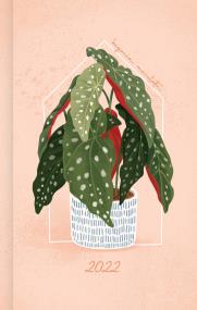 Okładka książki Kalendarz 2022 Rośliny domowe