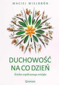 Okładka książki Duchowość na co dzień. Ścieżka współczesnego mistyka