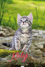 Opakowanie Kalendarz 2023 A3 Koty AVANTI